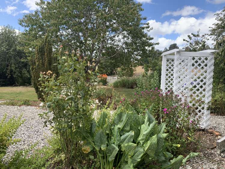 122 Old Port Road Catlins Surrounds_20