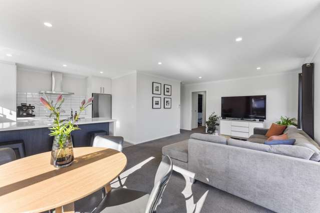 98 Hinemoa Street Levin_3