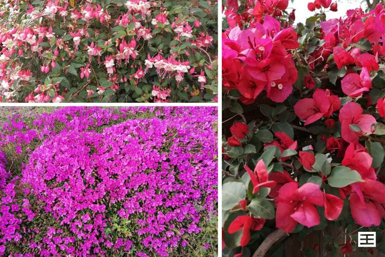 15 Edwin Grove Bethlehem_30