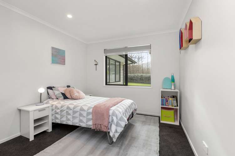 54 Ritchie Street Te Aroha_13