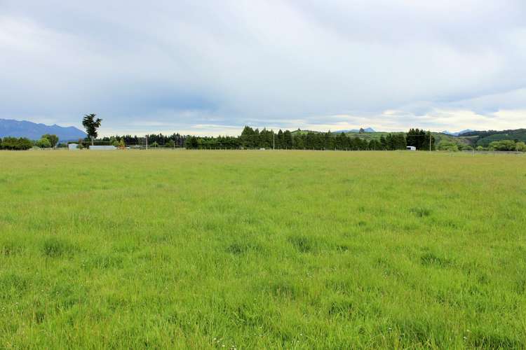 105 Lynwood Road New Lynn_12