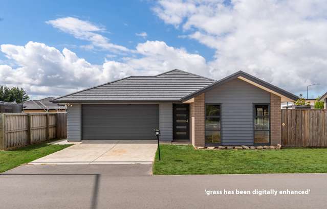 61 Lowes Road Rolleston_2