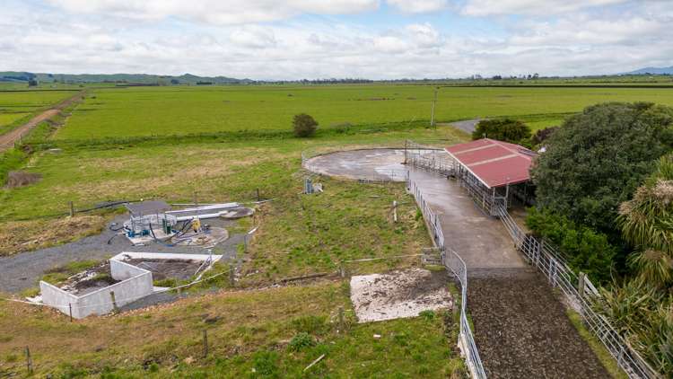 220 Valintine Road Gordonton_6