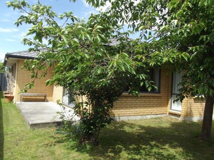 32a Guppy Road Greenmeadows_12