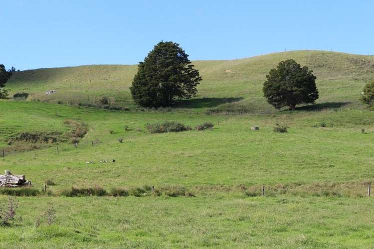 Riponui Road Ruatangata_9