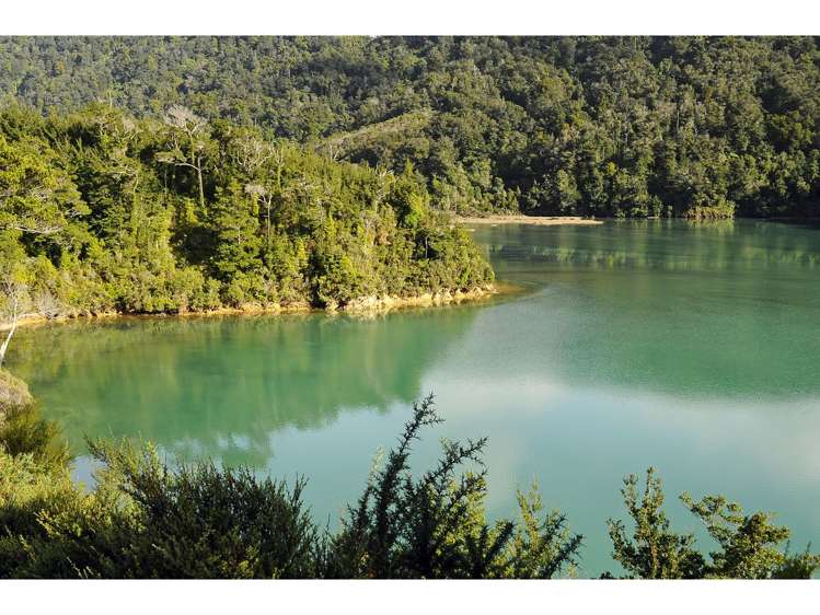 18 Matai Street Duncan Bay_20