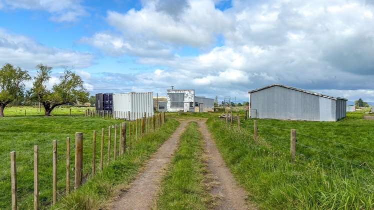 264 Matatoki Road Matatoki_26