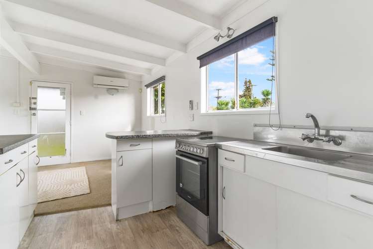 1/3 Vine Street Mangere East_5