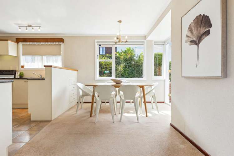 80 Disraeli Street Epsom_8