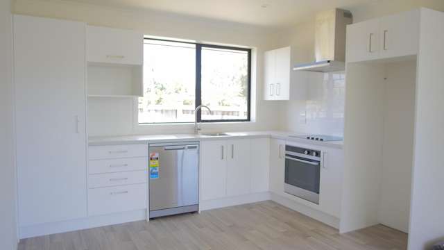 100 Stortford Street Ashhurst_1