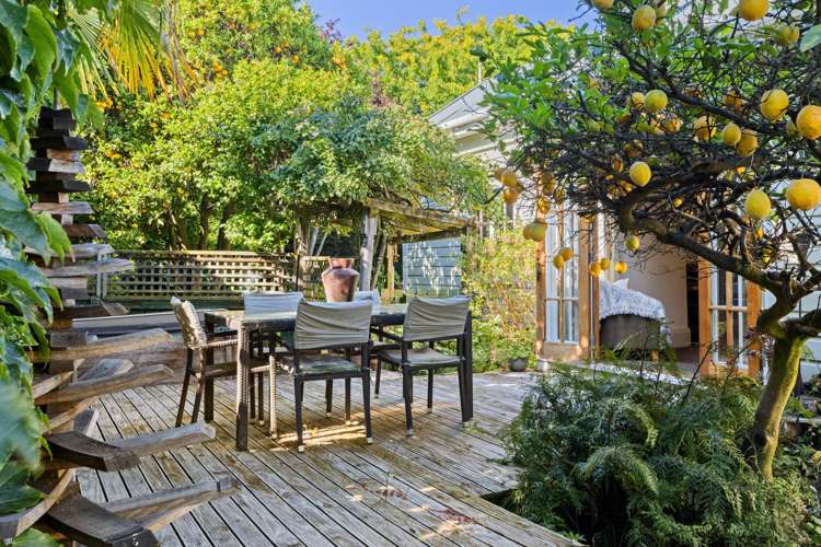 49 Dillons Point Road Islington_20