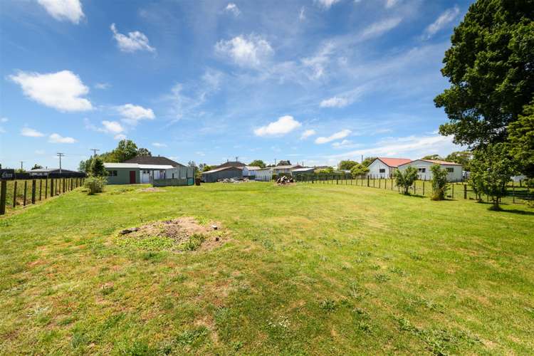 25 Flower Street Bulls_25