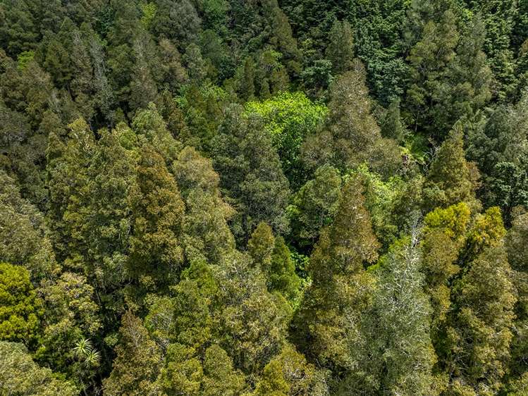 54 Simpson Road Kaitaia_30