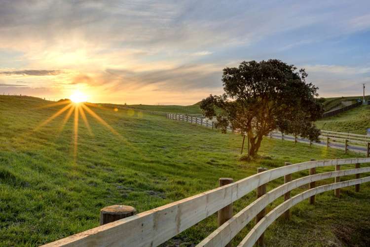 34 Te Kanae Road South Head_11