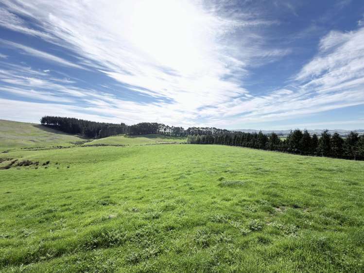 Glendhu Road Mataura_6