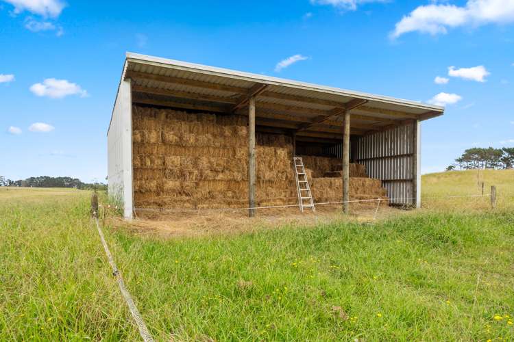 278 Te Toro Road Pollok_3