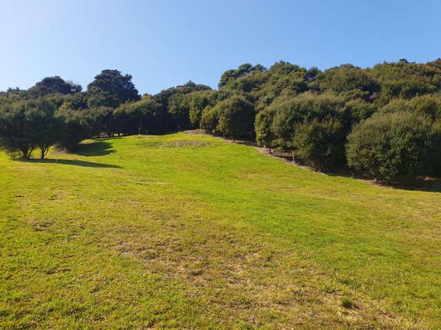 12 Ngarimu Heights Row Ngarimu Bay_4