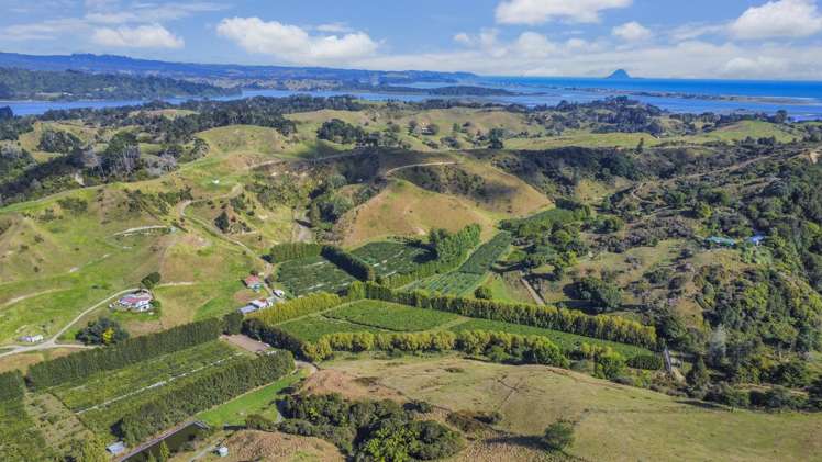 443C State Highway 2 Opotiki_11