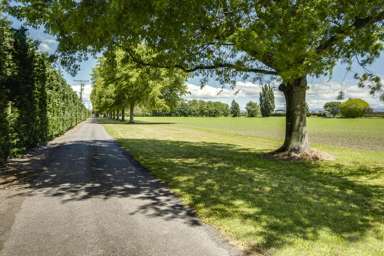 Lochiel - 105 Longlands Road West_4