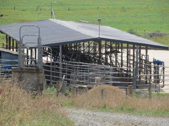 147 Jury Road Ngahinapouri_3