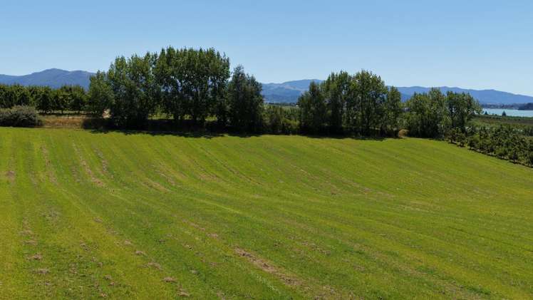 Lot 1/86 Eden Road Tasman_5