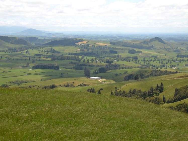 184 Grice Road Wharepuhunga_14