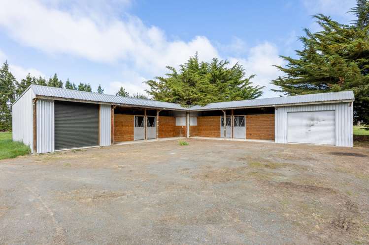 515 Bealey Road Charing Cross_17