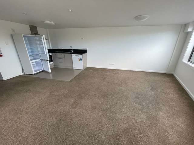 144A Great King Street Dunedin Central_1