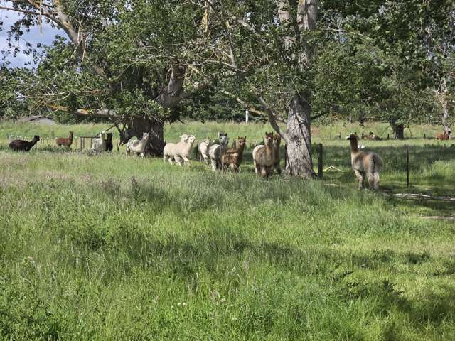 Grindon Street, RD3 Lawrence_4