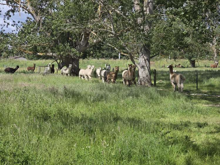 Grindon Street, RD3_4