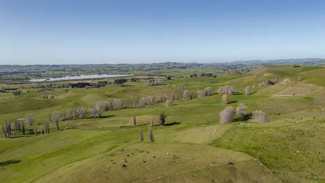 71 Pukeora Scenic Road Hawkes Bay_3