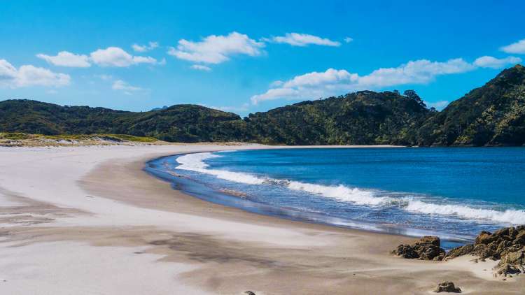 52h Kaitoke Lane Great Barrier Island (Aotea Island)_6