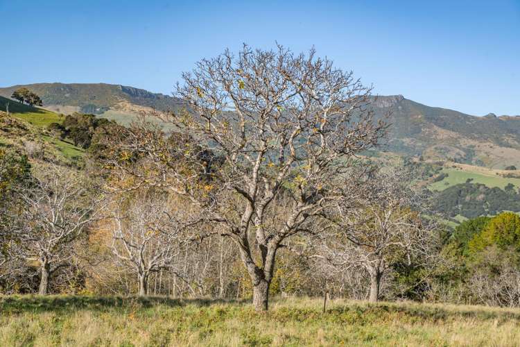 129 Bells Road Takamatua_8