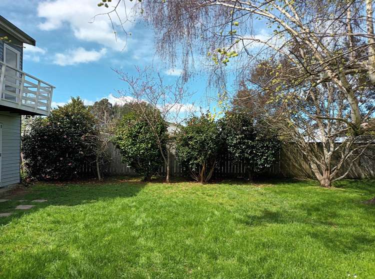 23 East Street Greytown_21