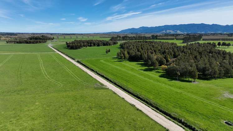 1807 Kahutara Road Kahutara_4