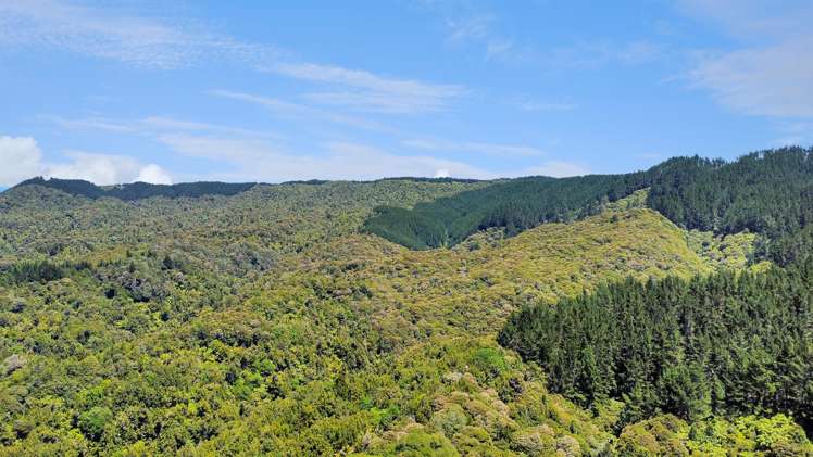 700 Burma Road Maraetotara_11