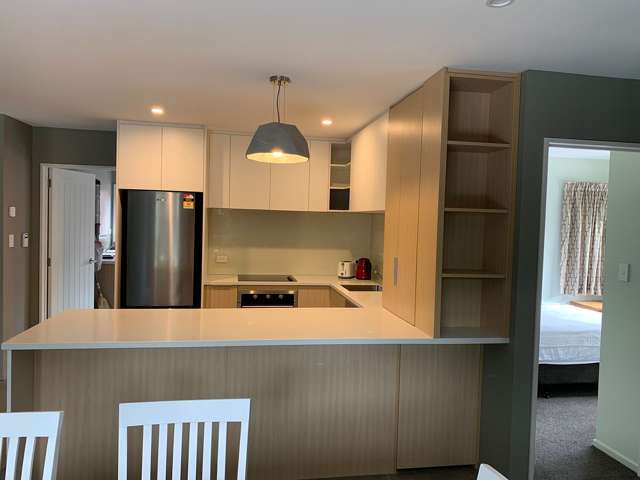 60 Creyke Road Ilam_2