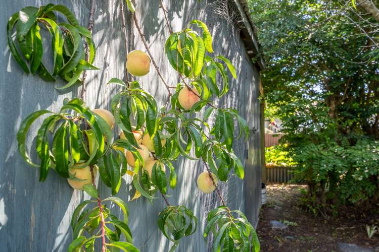 173 Rangiuru Road Otaki_18