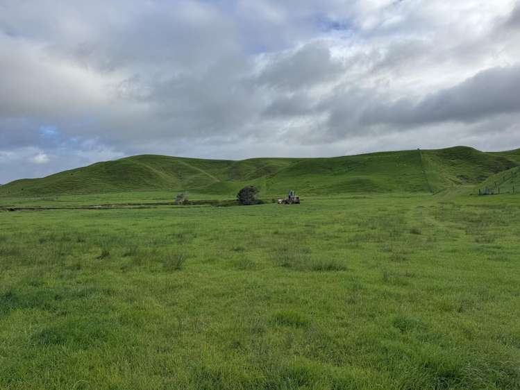 302 Bruce Road Turakina_19