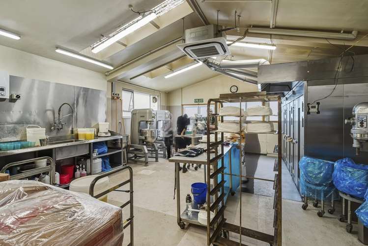 146 Frederick Street North Dunedin_14