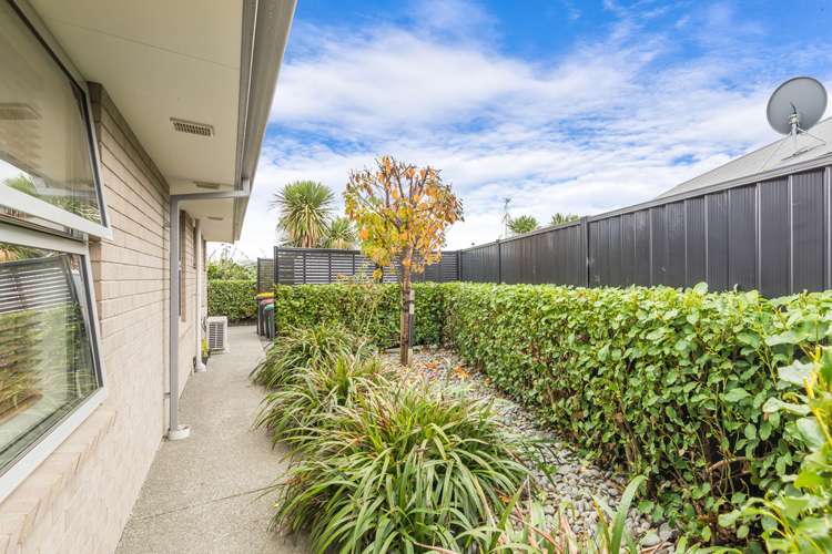 7 Buckhurst Avenue Wigram_5