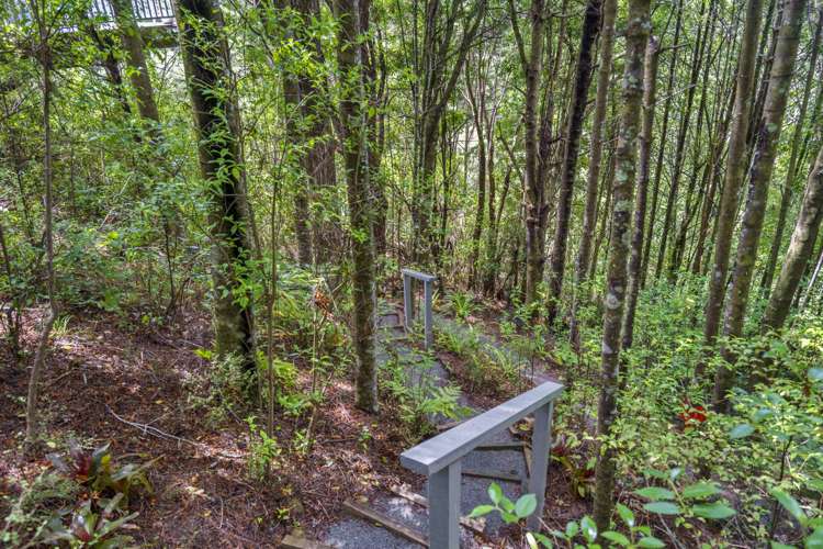 152 Wright Road Dairy Flat_19