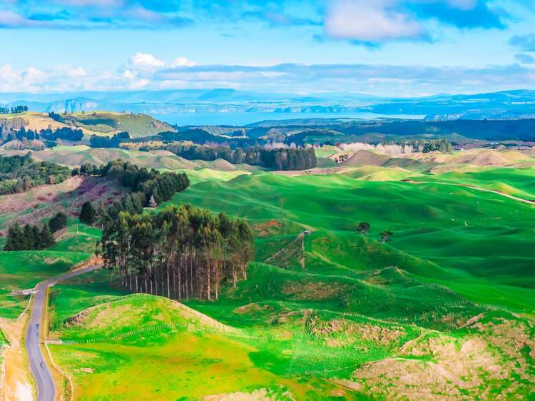 473 Otake Road Marotiri_13