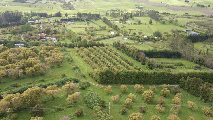 405 Tara Road Mangawhai_19