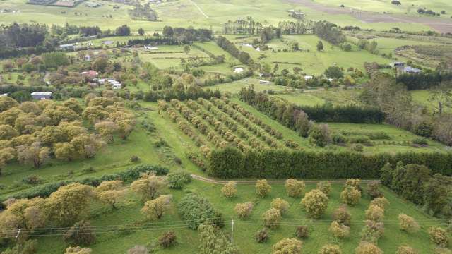405 Tara Road Mangawhai_4
