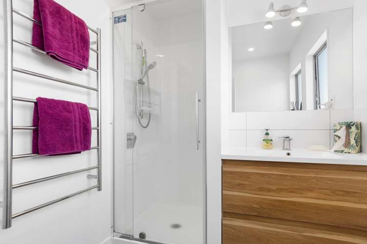 213 Bellevue Road Bellevue_12