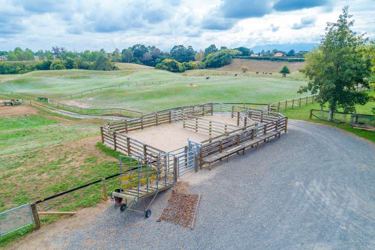 263 Taihoa South Road Matamata_17
