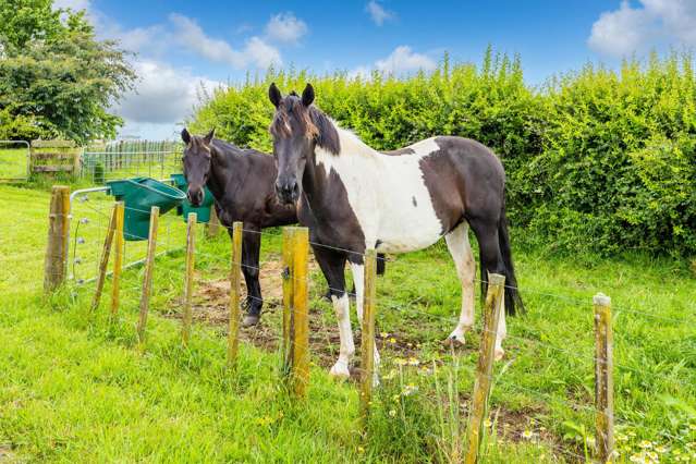 29 Wharepuhunga Road Otorohanga_2