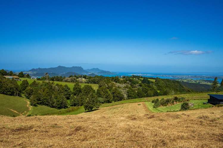 Franklin Road Parua Bay_6