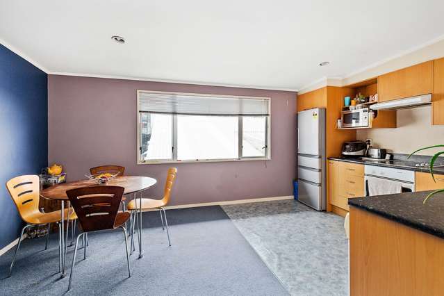 1/3 Kelvin Grove Te Aro_2